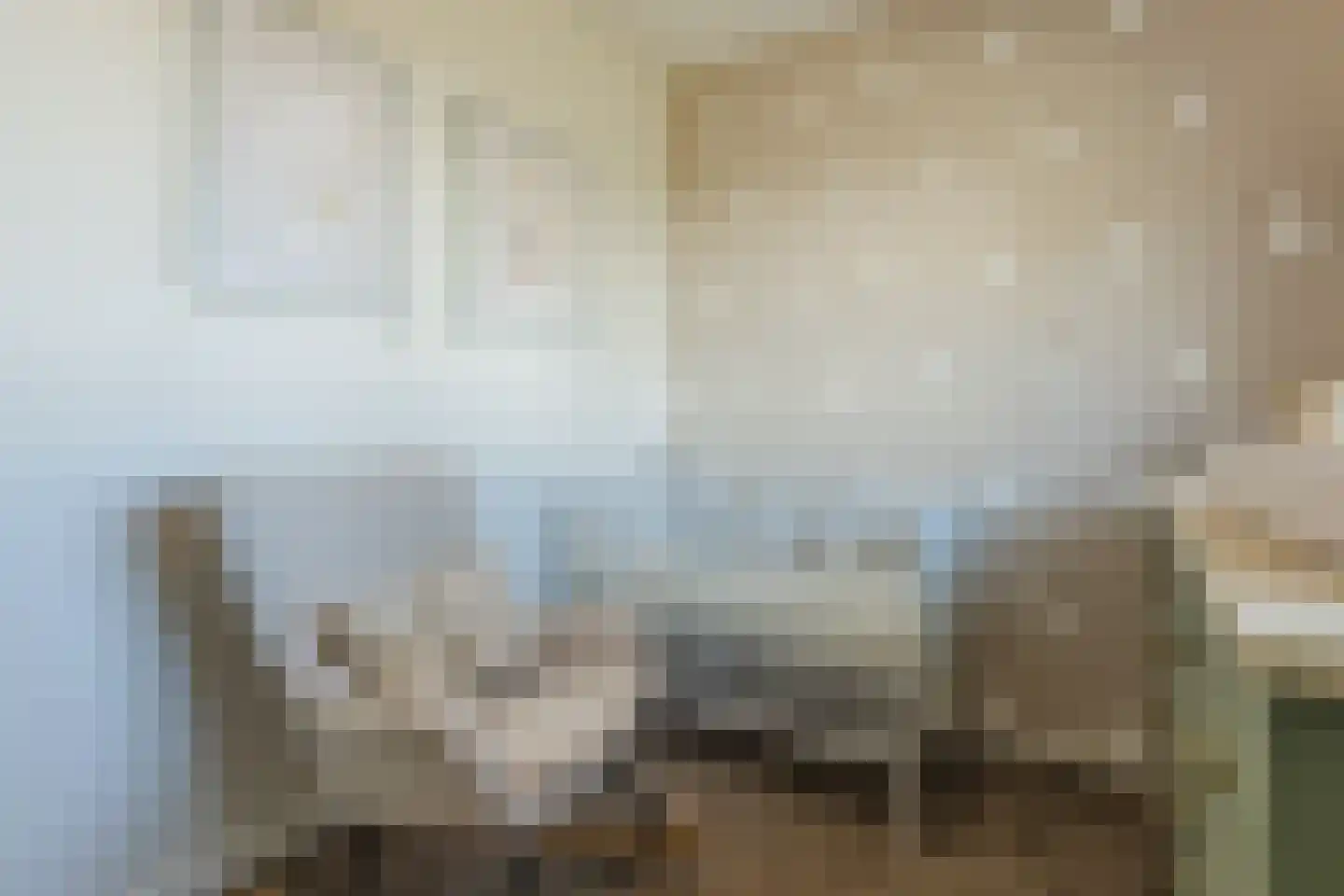 Kamsalamander 7 Goirle thumbnail 15