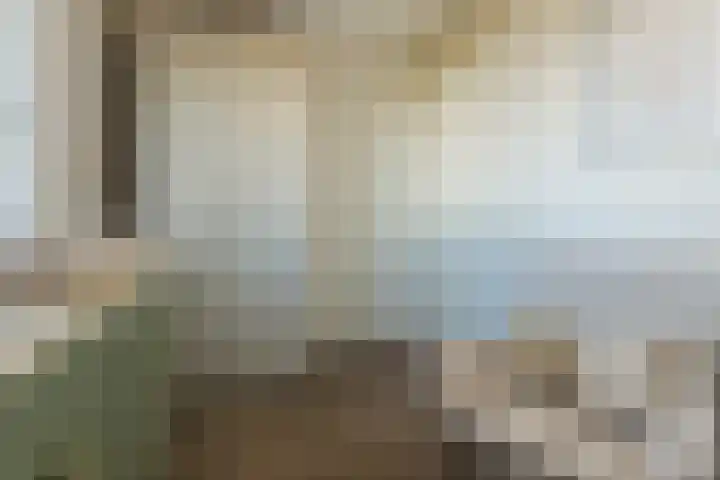 Kamsalamander 7 Goirle thumbnail 16