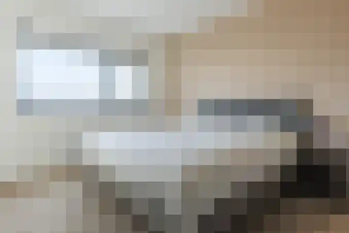 Kamsalamander 7 Goirle thumbnail 17