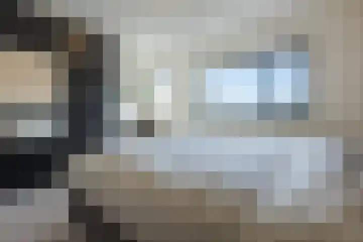 Kamsalamander 7 Goirle thumbnail 18