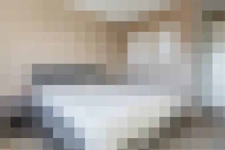 Kamsalamander 7 Goirle thumbnail 19