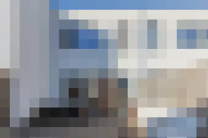 Kamsalamander 7 Goirle thumbnail 31