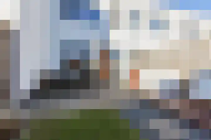 Kamsalamander 7 Goirle thumbnail 33