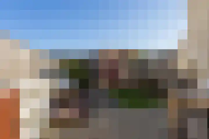 Kamsalamander 7 Goirle thumbnail 35