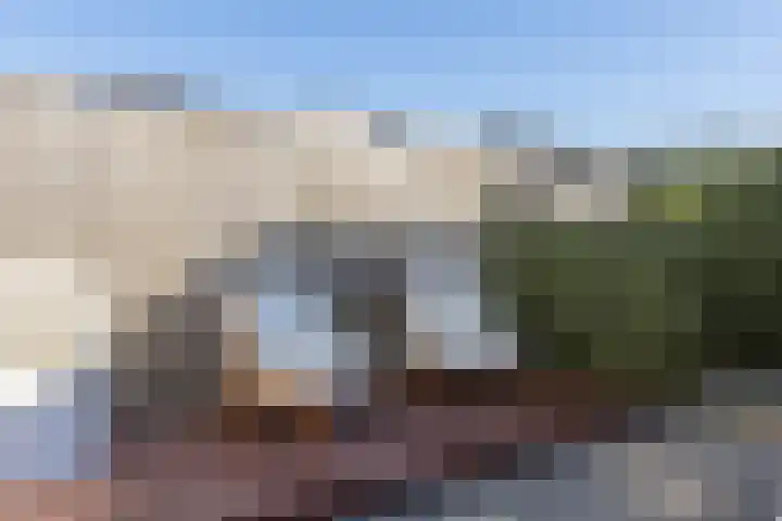 Kamsalamander 7 Goirle thumbnail 36