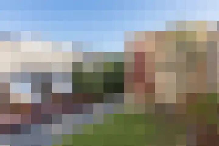 Kamsalamander 7 Goirle thumbnail 37
