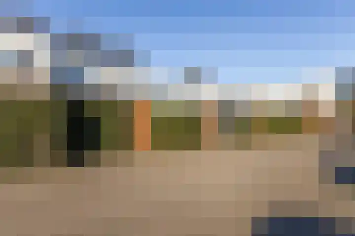 Kamsalamander 7 Goirle thumbnail 38