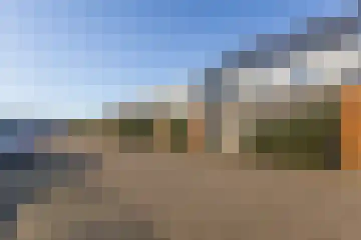 Kamsalamander 7 Goirle thumbnail 39