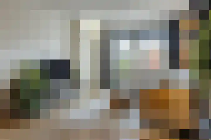 Kamsalamander 7 Goirle thumbnail 4