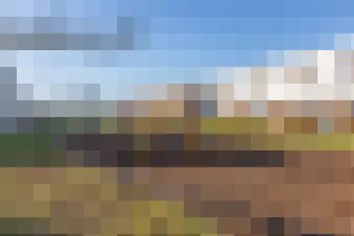 Kamsalamander 7 Goirle thumbnail 40