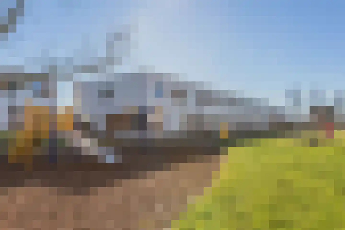 Kamsalamander 7 Goirle thumbnail 41