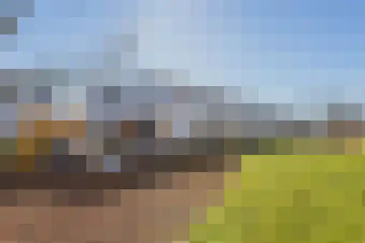Kamsalamander 7 Goirle thumbnail 41
