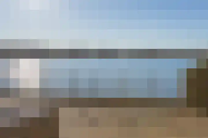 Kamsalamander 7 Goirle thumbnail 42