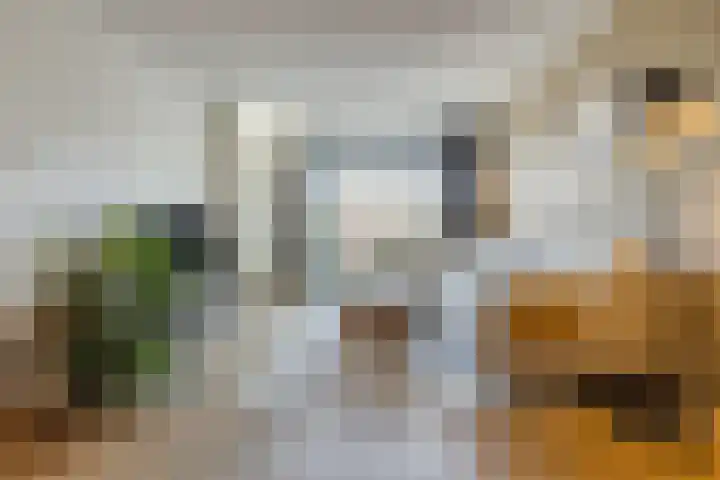 Kamsalamander 7 Goirle thumbnail 5