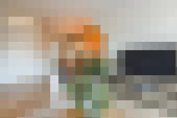 Kamsalamander 7 Goirle thumbnail 6