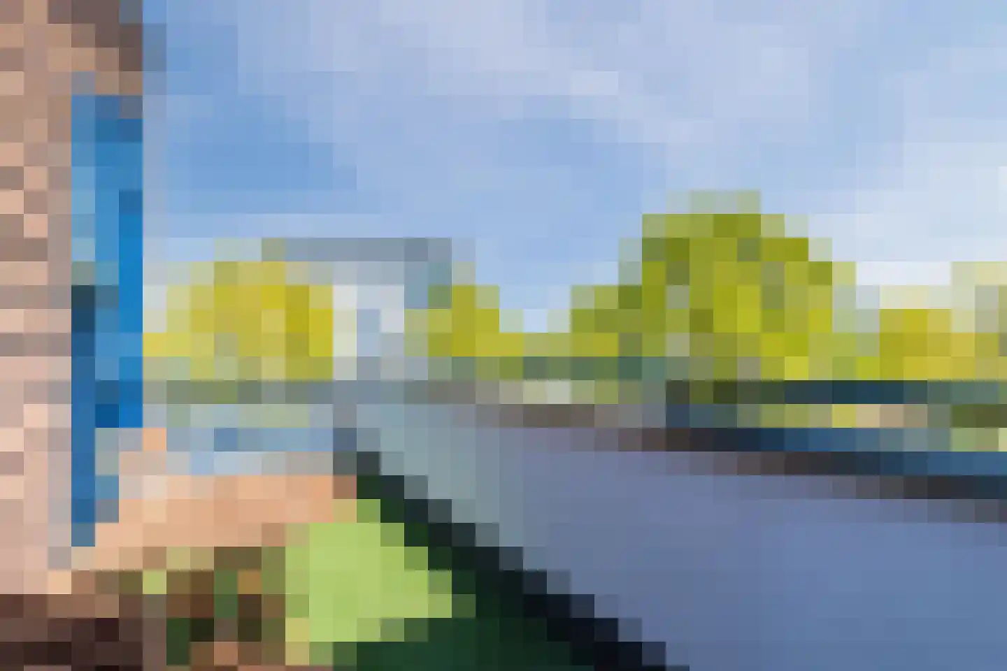 Kamsalamander 9 Amersfoort thumbnail 40
