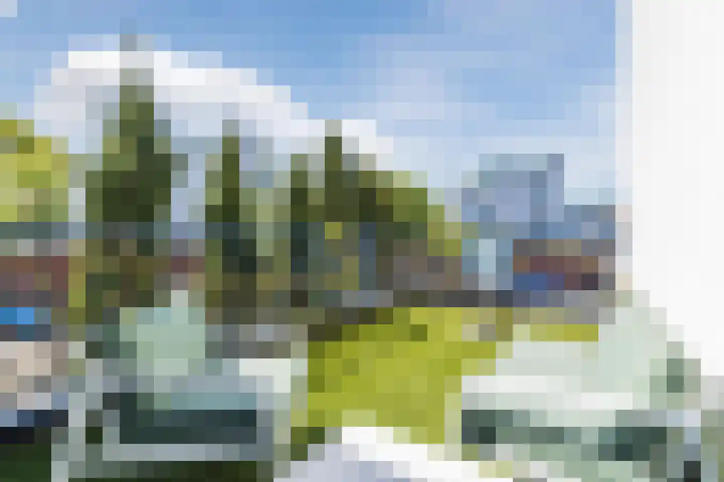 Kamsalamander 9 Amersfoort thumbnail 45