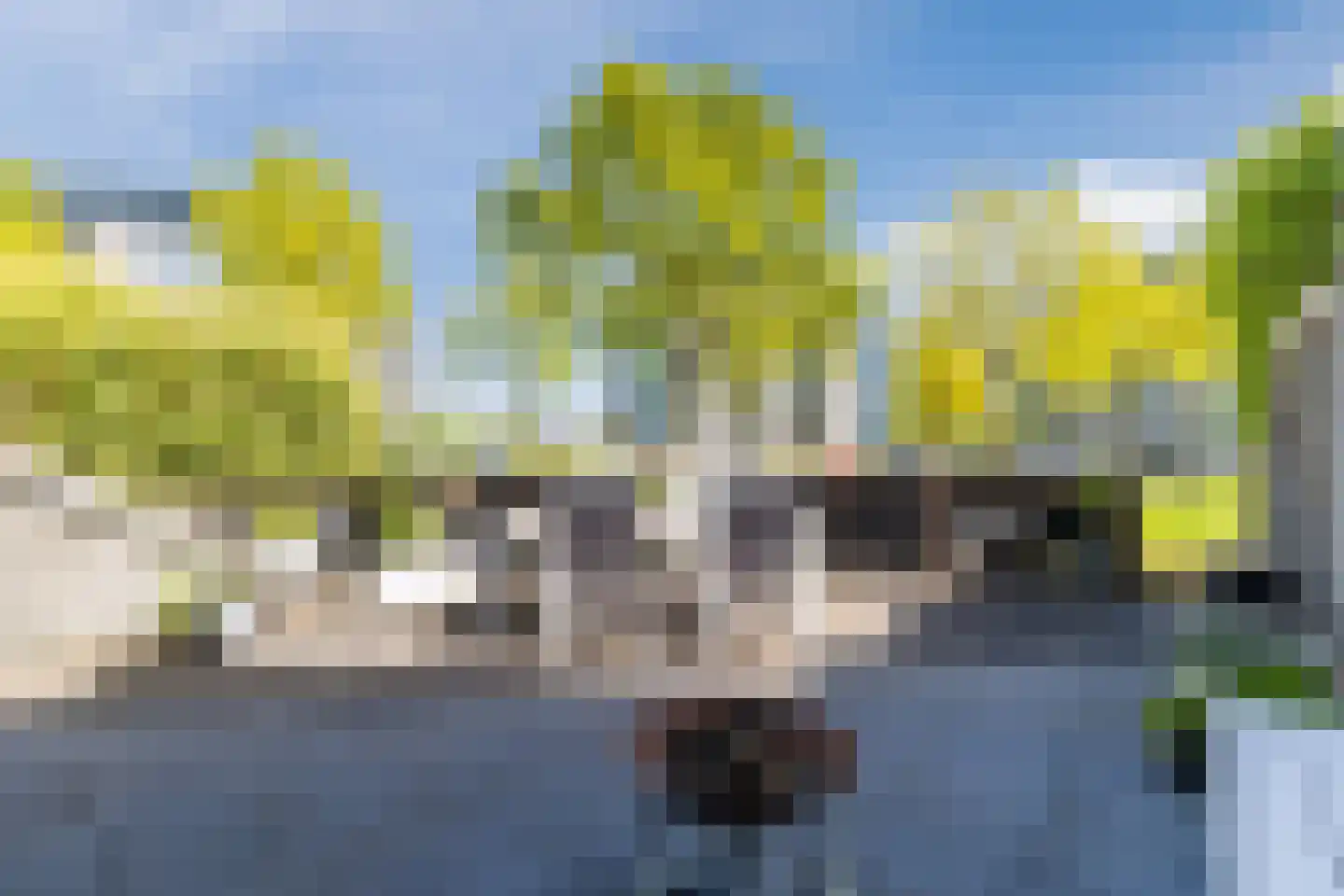 Kamsalamander 9 Amersfoort thumbnail 47
