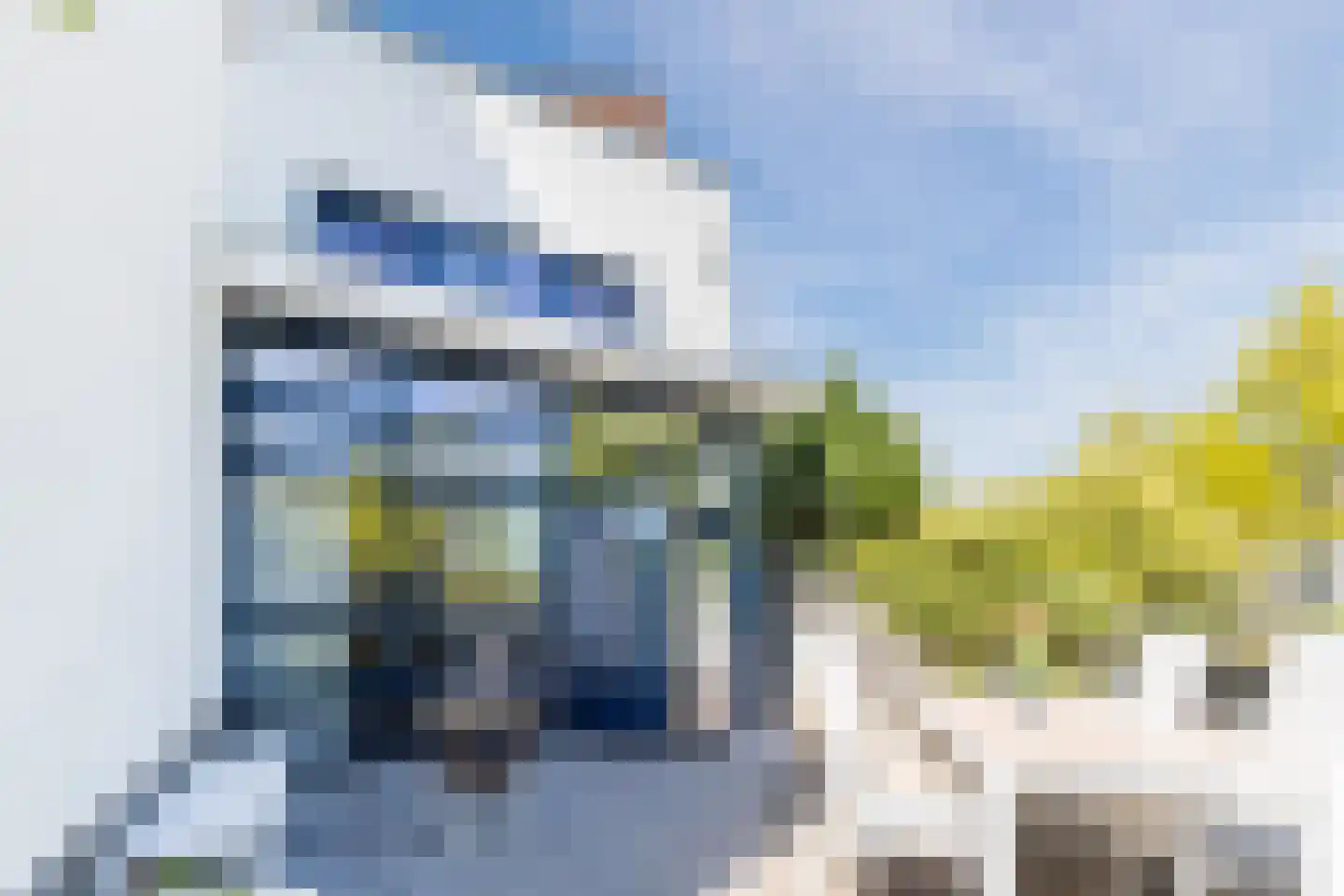 Kamsalamander 9 Amersfoort thumbnail 48