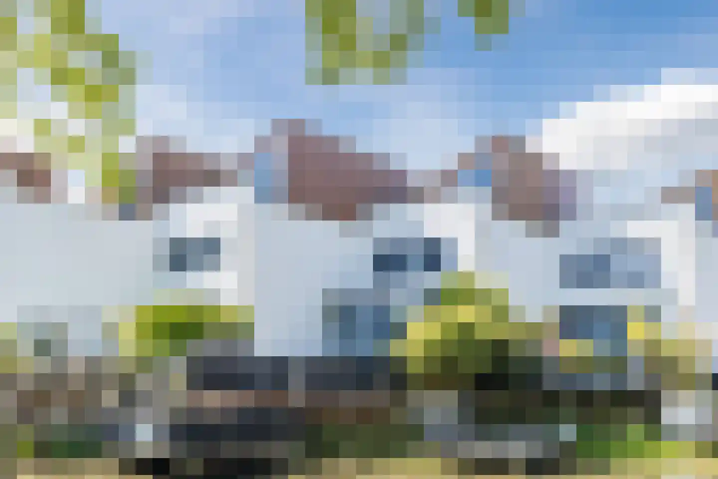 Kamsalamander 9 Amersfoort thumbnail 52