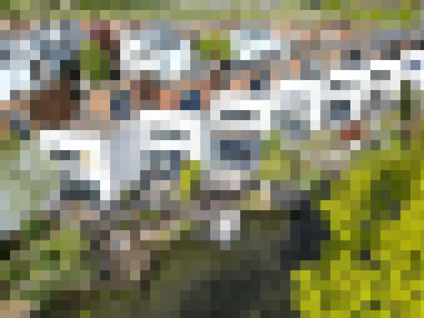 Kamsalamander 9 Amersfoort thumbnail 53
