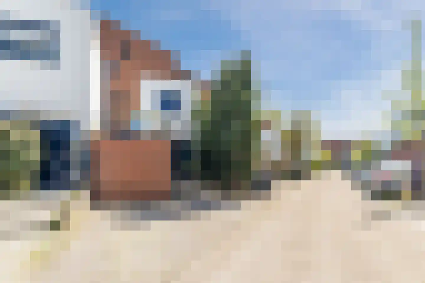 Kamsalamander 9 Amersfoort thumbnail 54