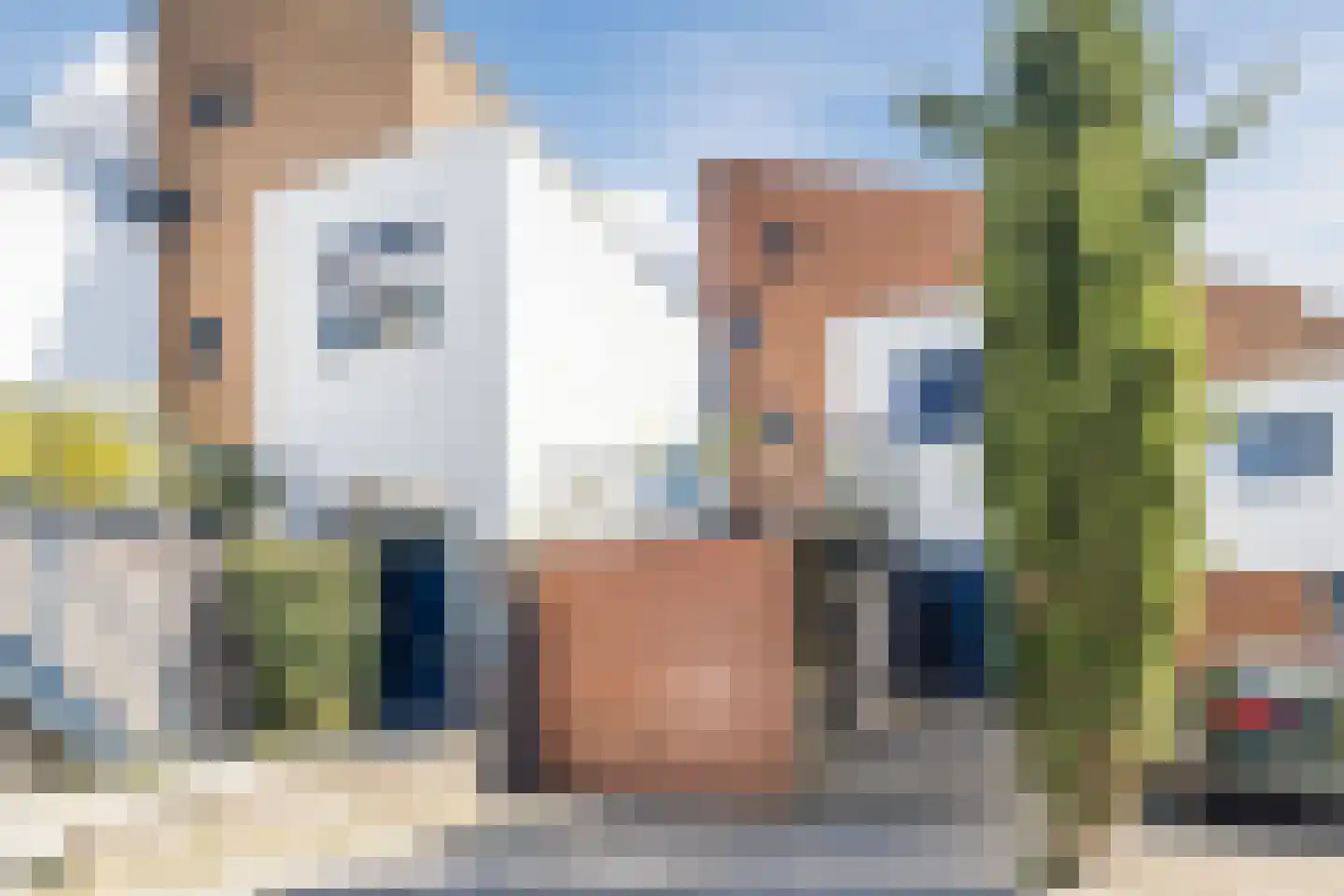 Kamsalamander 9 Amersfoort thumbnail 55