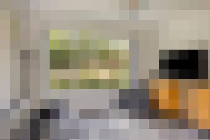 Kamstraat 17 Wolvega thumbnail 13