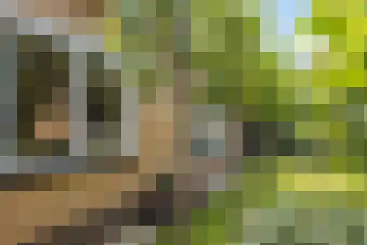 Kamstraat 17 Wolvega thumbnail 38