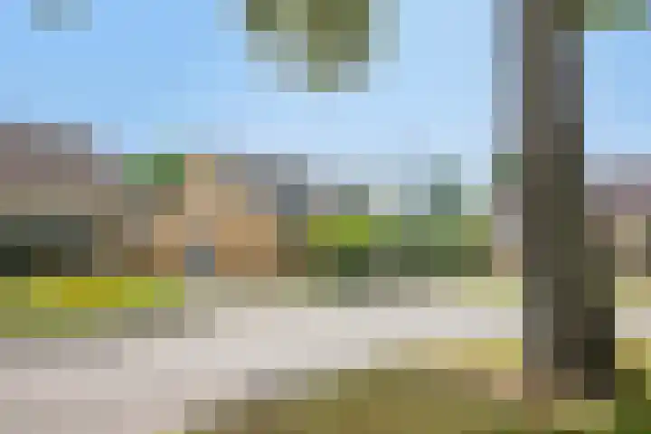 Kamstraat 17 Wolvega thumbnail 6