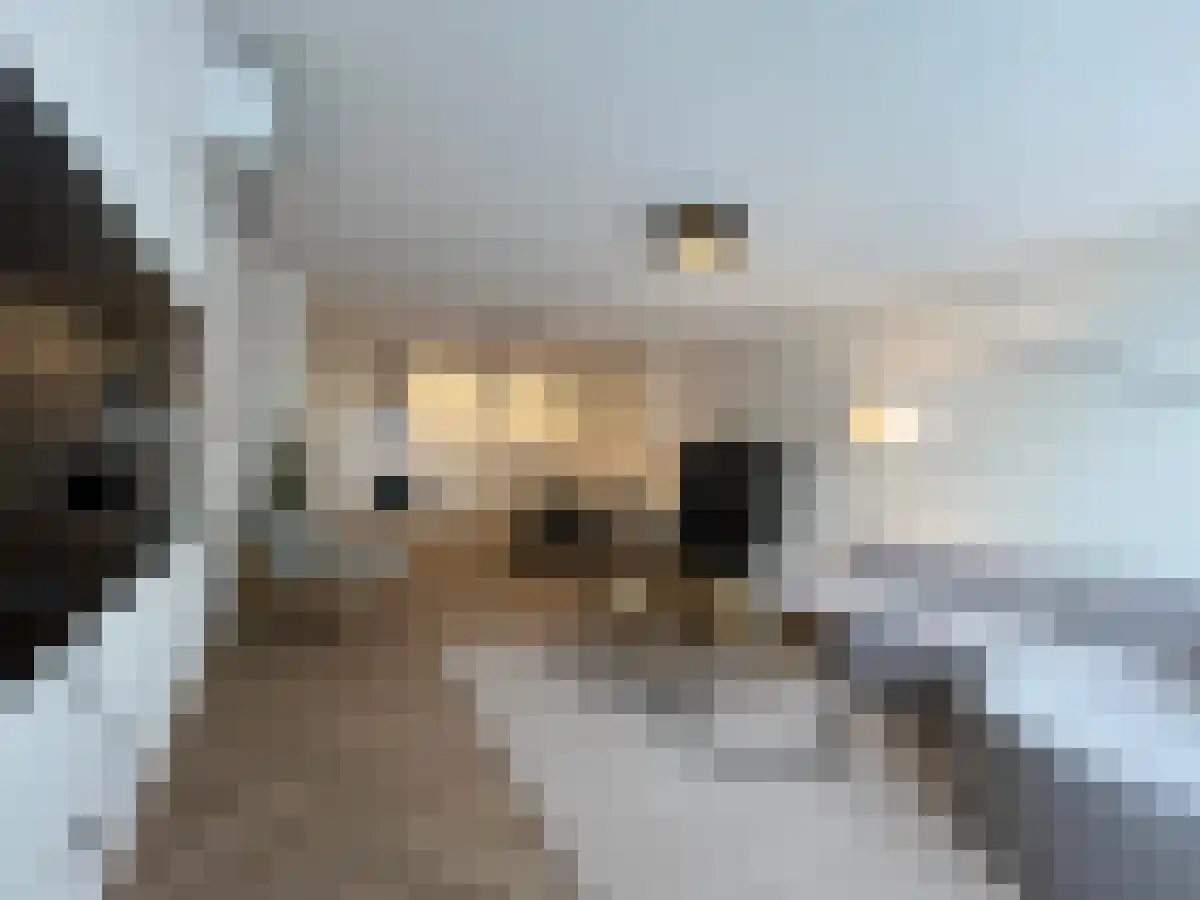 Kamstraat 22 C Helmond thumbnail 4