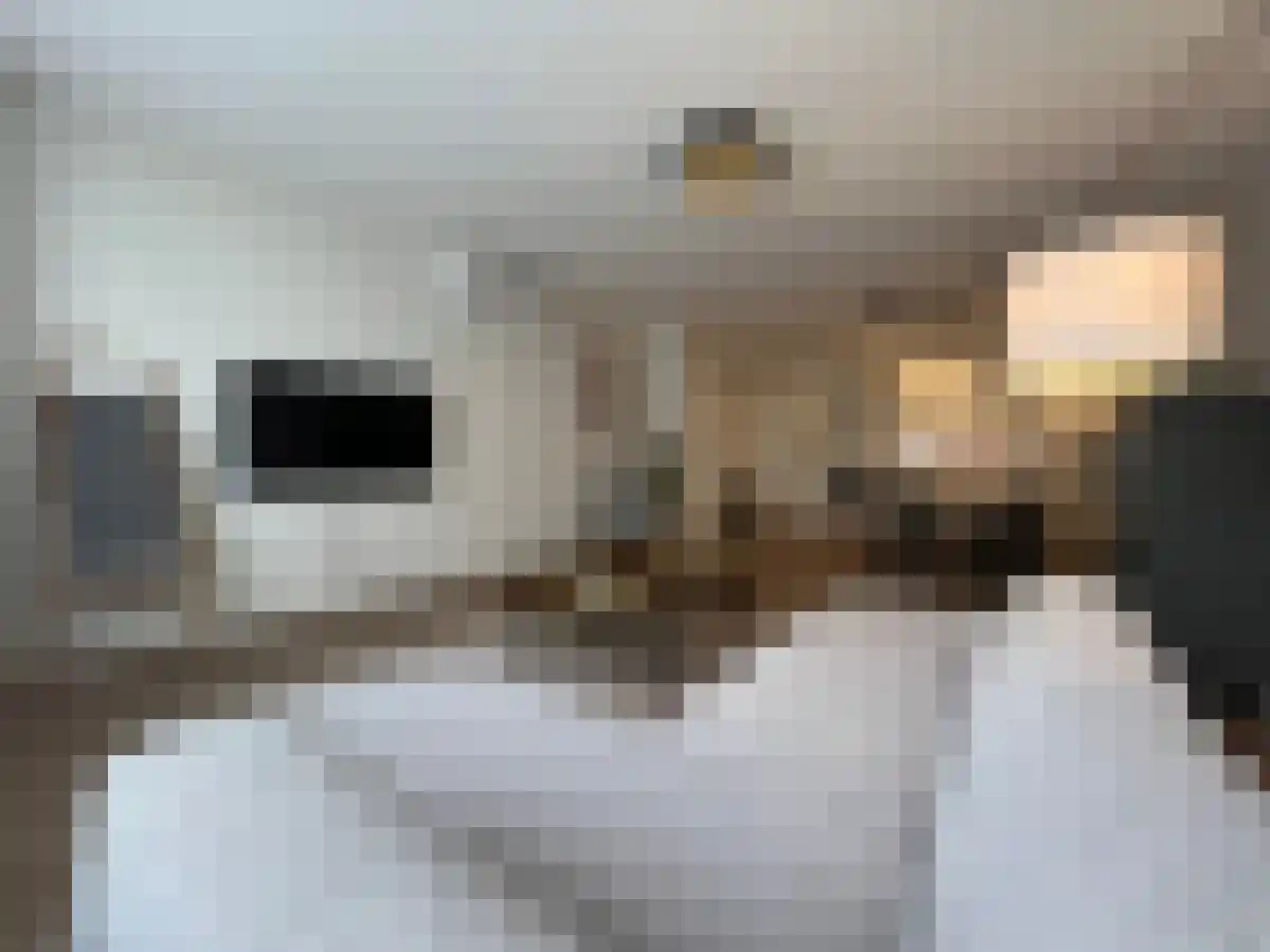 Kamstraat 22 C Helmond thumbnail 5