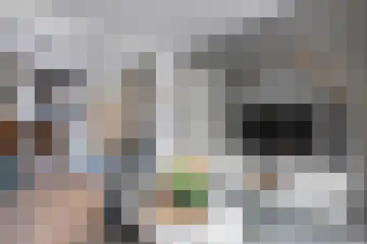 Kamstrastraat 20 Franeker thumbnail 15