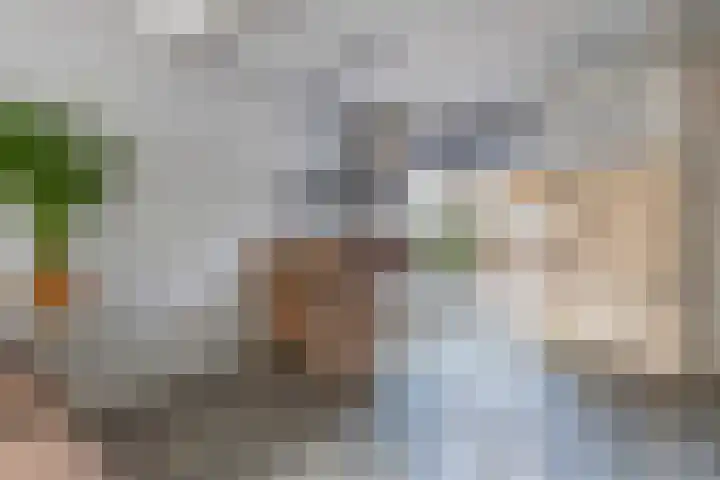 Kamstrastraat 20 Franeker thumbnail 16