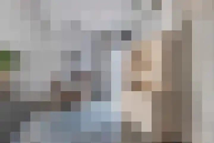 Kamstrastraat 20 Franeker thumbnail 23
