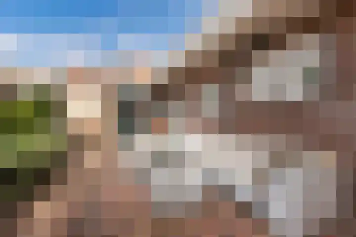 Kamstrastraat 20 Franeker thumbnail 33