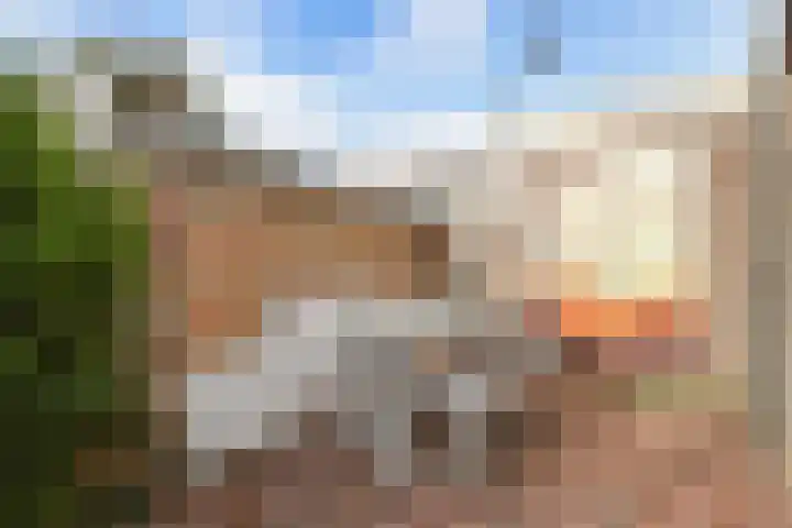 Kamstrastraat 20 Franeker thumbnail 38