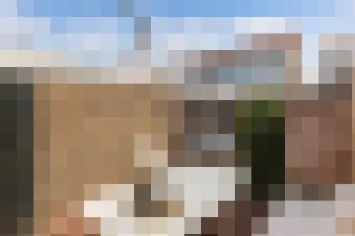 Kamstrastraat 20 Franeker thumbnail 39