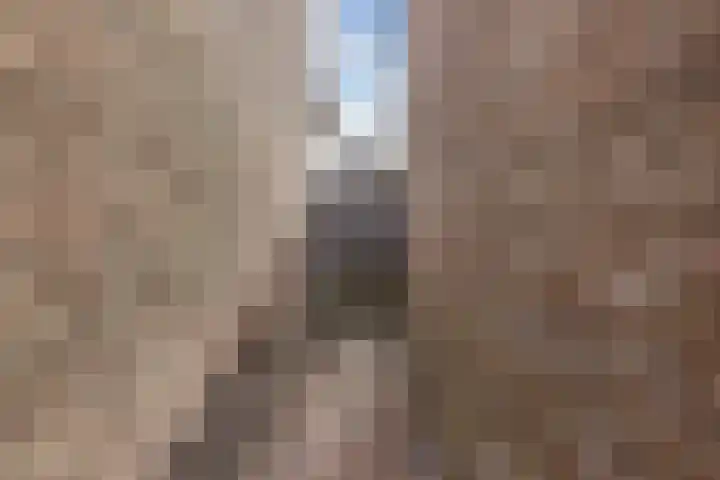 Kamstrastraat 20 Franeker thumbnail 40