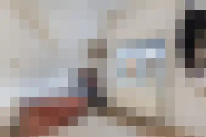 Kamstrastraat 20 Franeker thumbnail 48