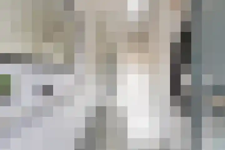 Kamstrastraat 20 Franeker thumbnail 8