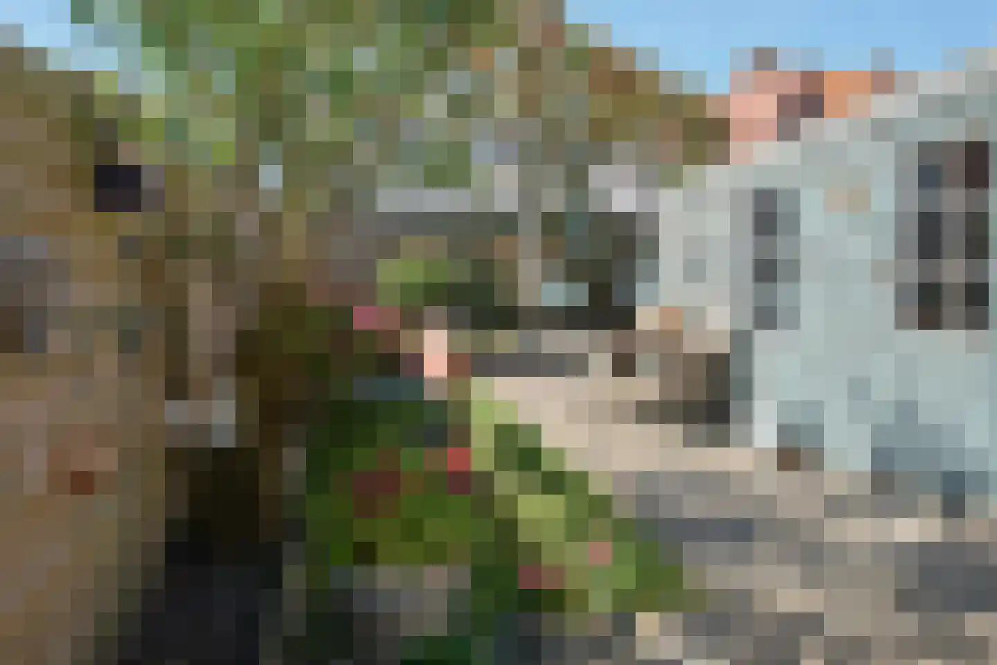 Kamstrastraat 24 Franeker thumbnail 4