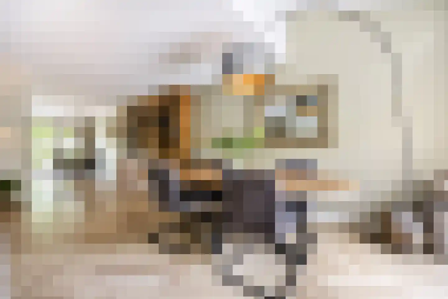 Kamvaren 13 Den Haag thumbnail 16
