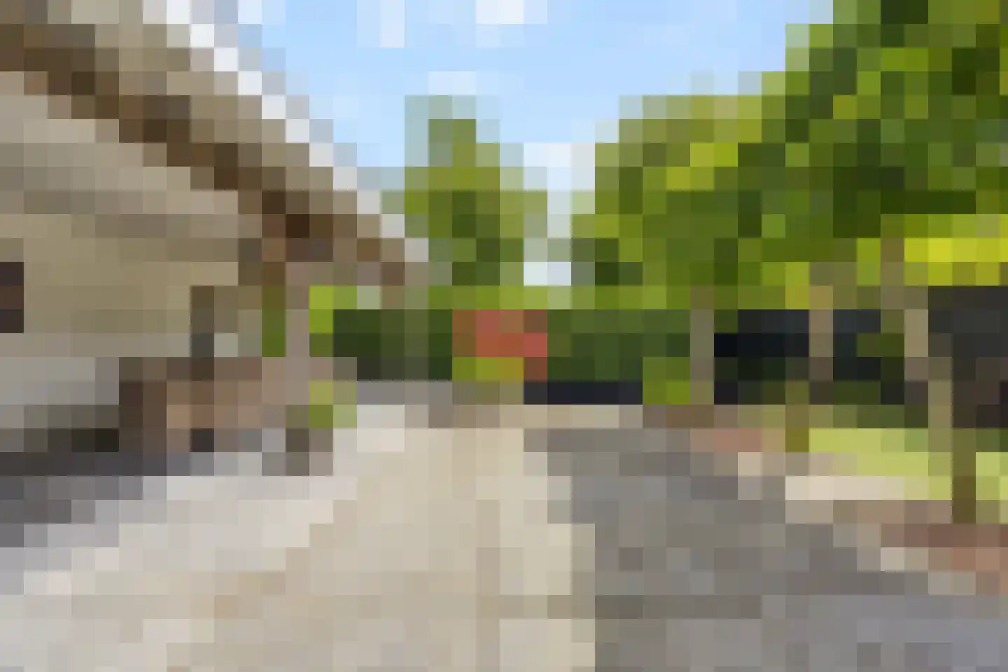 Kamvaren 13 Den Haag thumbnail 17
