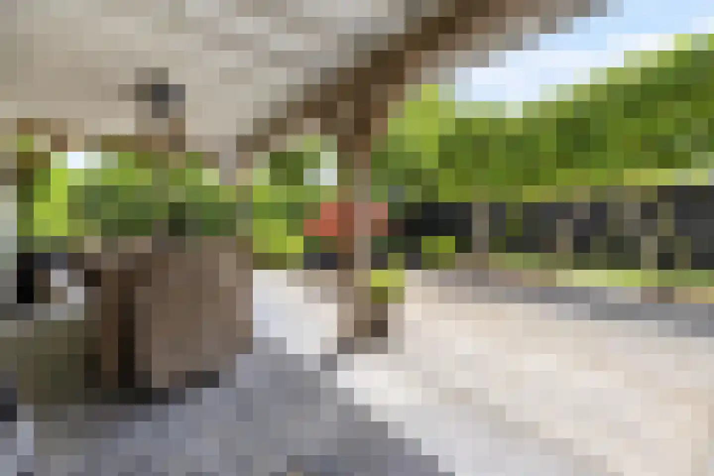 Kamvaren 13 Den Haag thumbnail 18