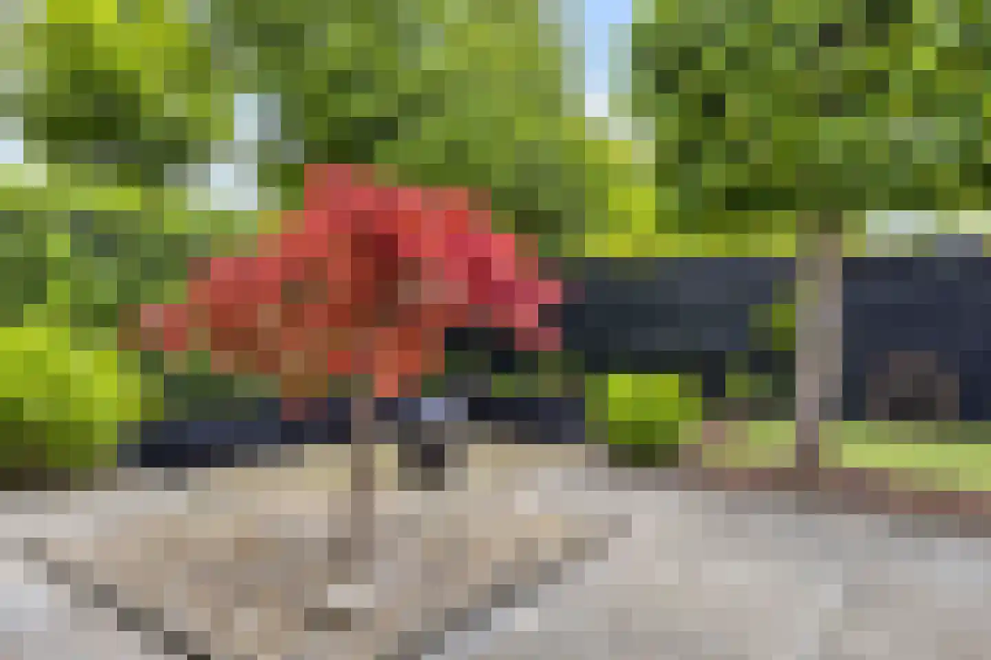 Kamvaren 13 Den Haag thumbnail 19
