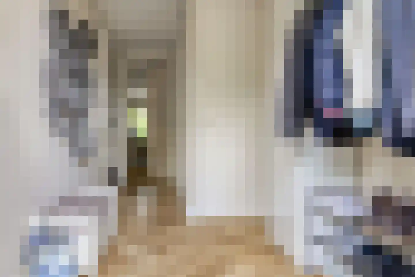 Kamvaren 13 Den Haag thumbnail 8