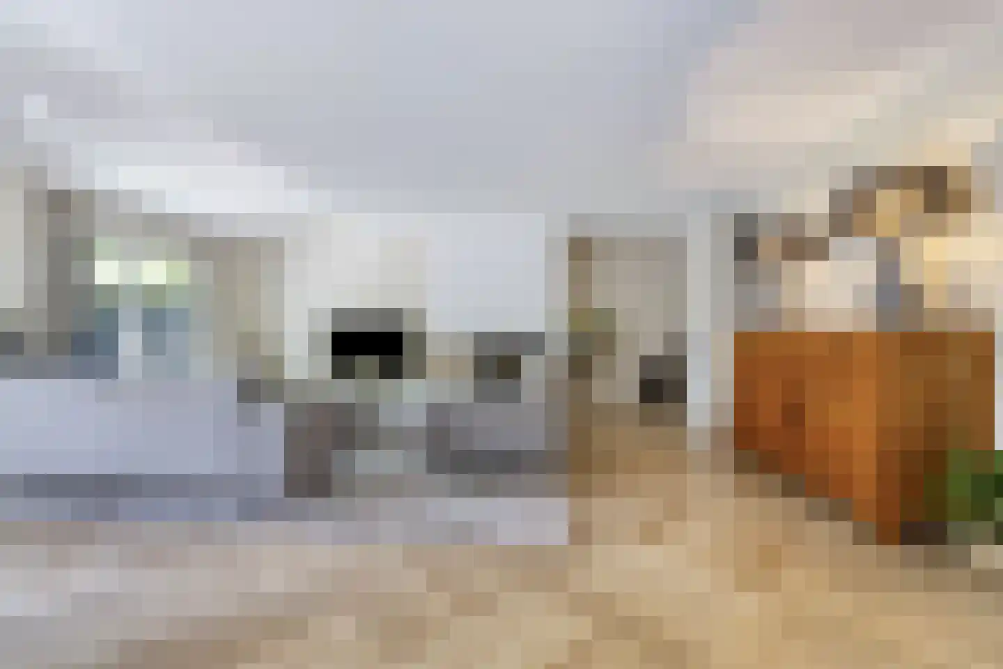 Kamvaren 13 Den Haag thumbnail 9