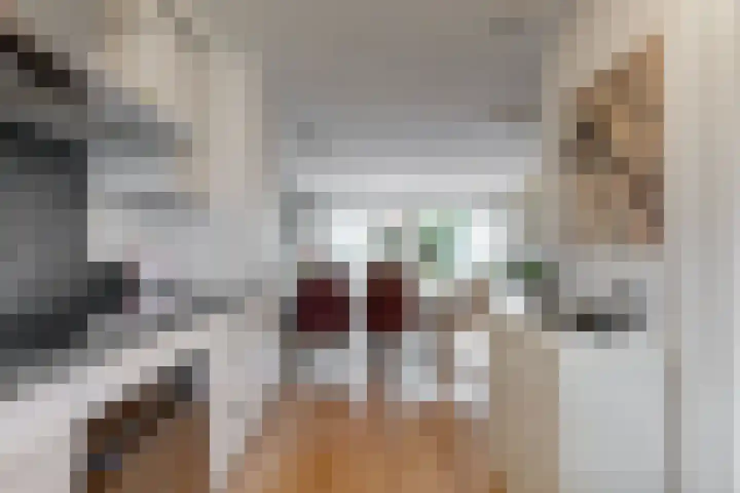 Kamvaren 15 Limmen thumbnail 13