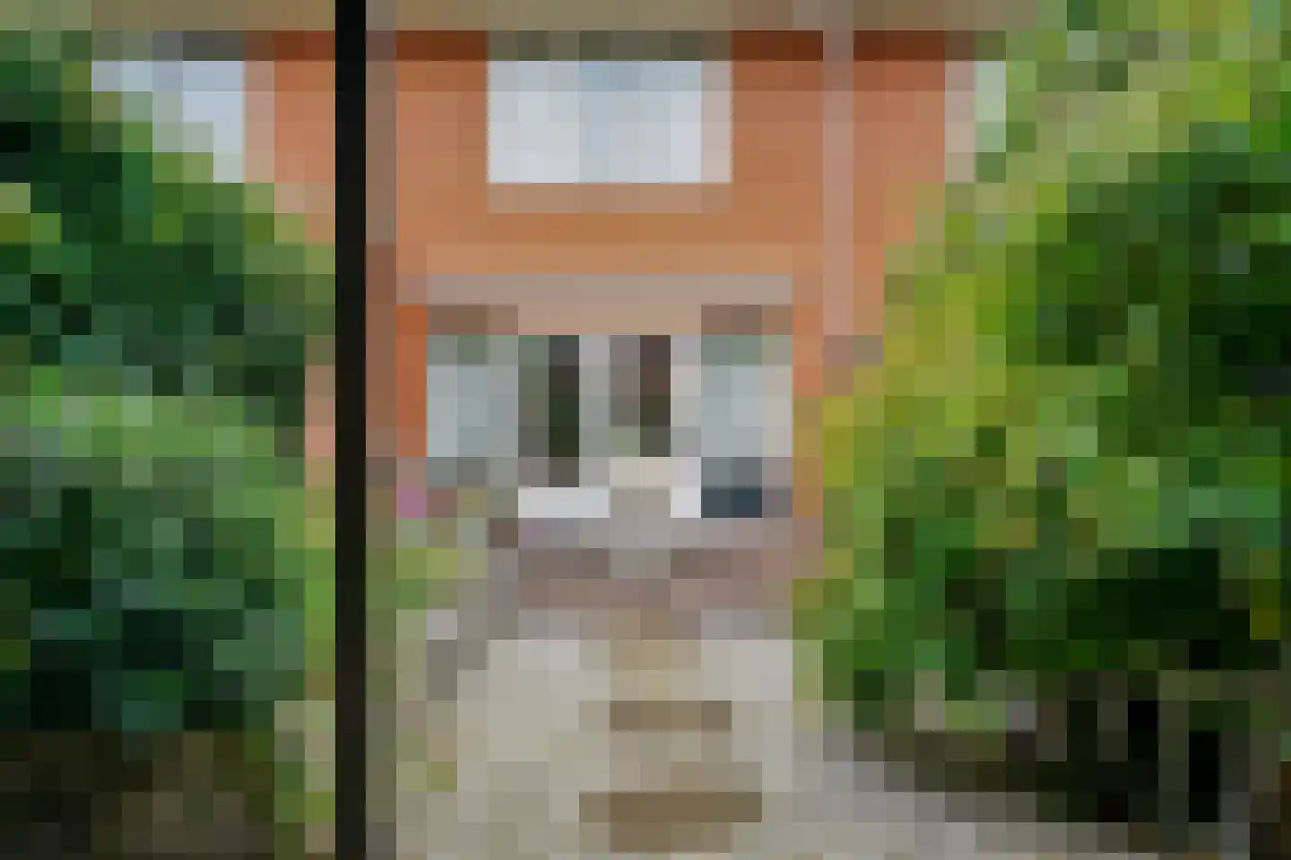Kamvaren 15 Limmen thumbnail 33